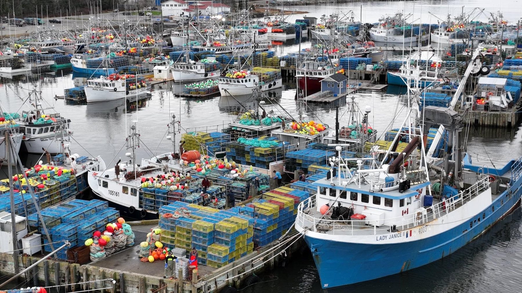 Commercial fishing fleet supplying Atlantic Canadian seafood